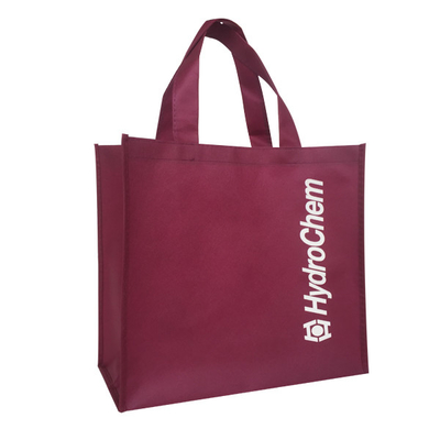 Eco Vriendschappelijke 80gsm 1000pcs 30x15x35cm pp niet Geweven Zak