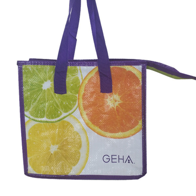 Waterdichte 100pcs-OEM 23x26x16cm Geïsoleerd Tote Lunch Bag
