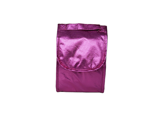 Gepersonaliseerde 2.5x25cm 100gsm Geïsoleerde Koelere Zak