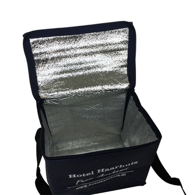 Niet Geweven 20x15x18cm CMKY OEM 80gsm Geïsoleerde Koelere Zak